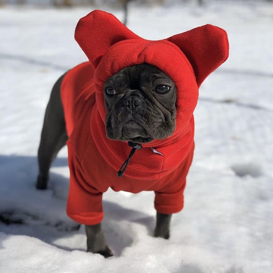 Frenchie Winter Hat
